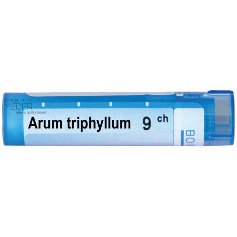 Снимка на Арум Трифилум (Arum Triphyllum) 9СН, Boiron за 5.09лв. от Аптека Медея