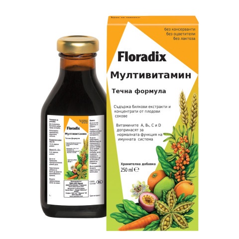 Снимка на Floradix Мултивитамин за имунна система с витамини и екстракт от билки, сироп 250 мл. за 31.69лв. от Аптека Медея