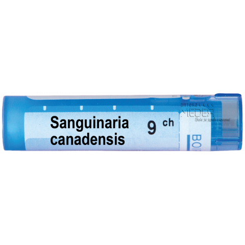 Снимка на Сангвинария Канаденсис (Sanguinaria Canadensis) 9СН, Boiron за 5.09лв. от Аптека Медея