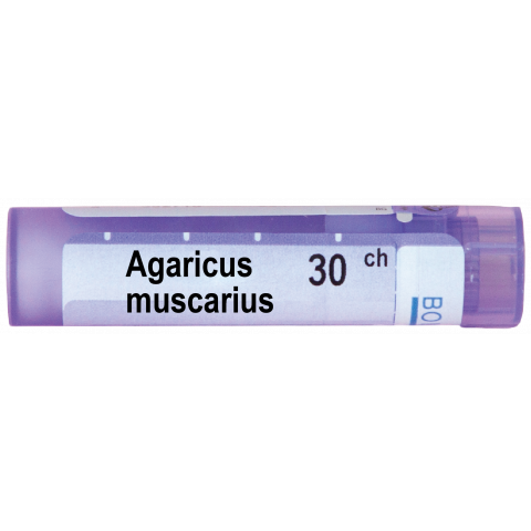 Снимка на АГАРИКУС МУСКАРИУС | AGARICUS MUSCARIUS 30СН за 5.09лв. от Аптека Медея