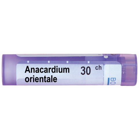 Снимка на АНАКАРДИУМ ОРИЕНТАЛЕ | ANACARDIUM ORIENTALE 30CH за 5.09лв. от Аптека Медея