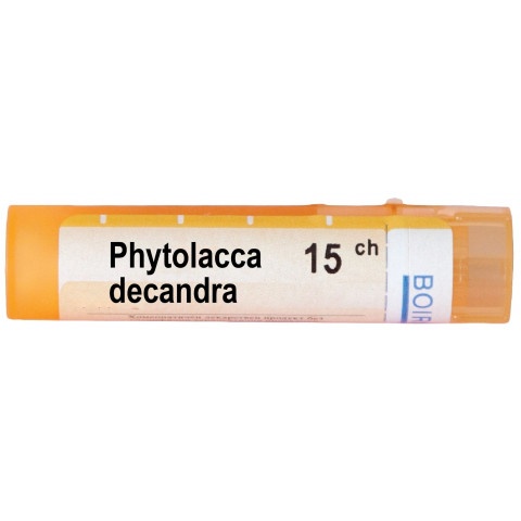 Снимка на ФИТОЛАКА ДЕКАНДРА 15CH | PHYTOLACCA DECANDRA 15CH за 5.09лв. от Аптека Медея