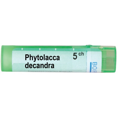 Снимка на ФИТОЛАКА ДЕКАНДРА 5CH | PHYTOLACCA DECANDRA 5 CH за 5.09лв. от Аптека Медея