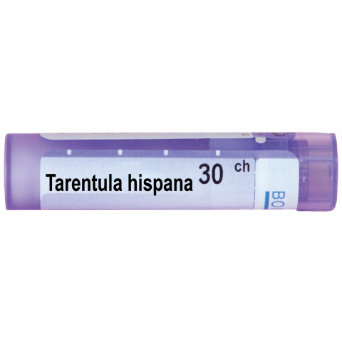 Снимка на ТАРЕНТУЛА ХИСПАНА | TARENTULA HISPANA 30CH за 5.09лв. от Аптека Медея