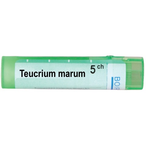 Снимка на ТЕУКРИУМ МАРУМ 5СН | TEUCRIUM MARUM 5 CH  за 5.09лв. от Аптека Медея