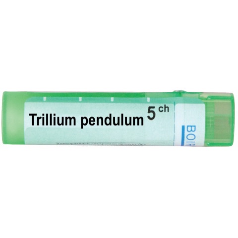 Снимка на ТРИЛИУМ ПЕНДУЛУМ 5 СН | TRILLIUM PENDULUM 5 CH за 5.09лв. от Аптека Медея